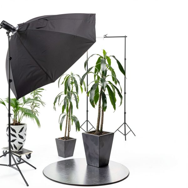 Neewer Air Cushioned Light Stand Heavy Duty Metal-4