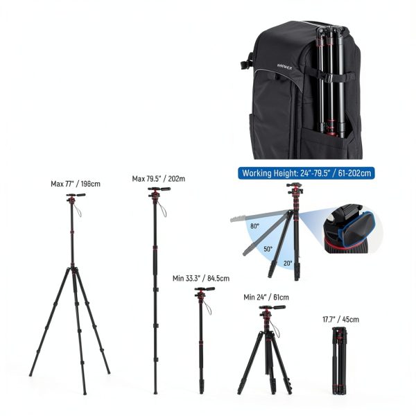 NEEWER Basics Tripod Monopod 360 Ball Head Arca Plate-2