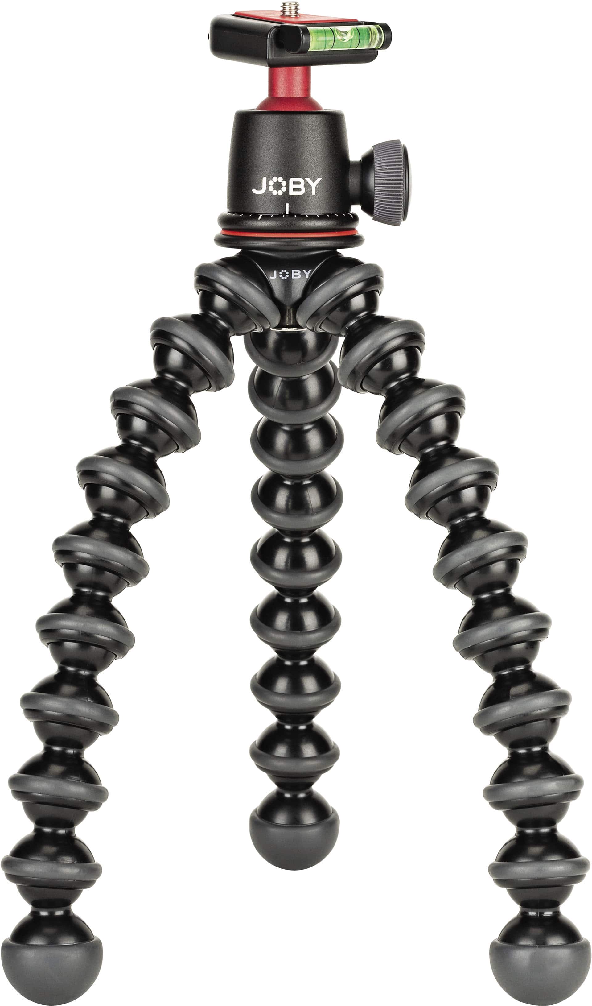 GorillaPod tripod wrapped around a tree branch in outdoor setting